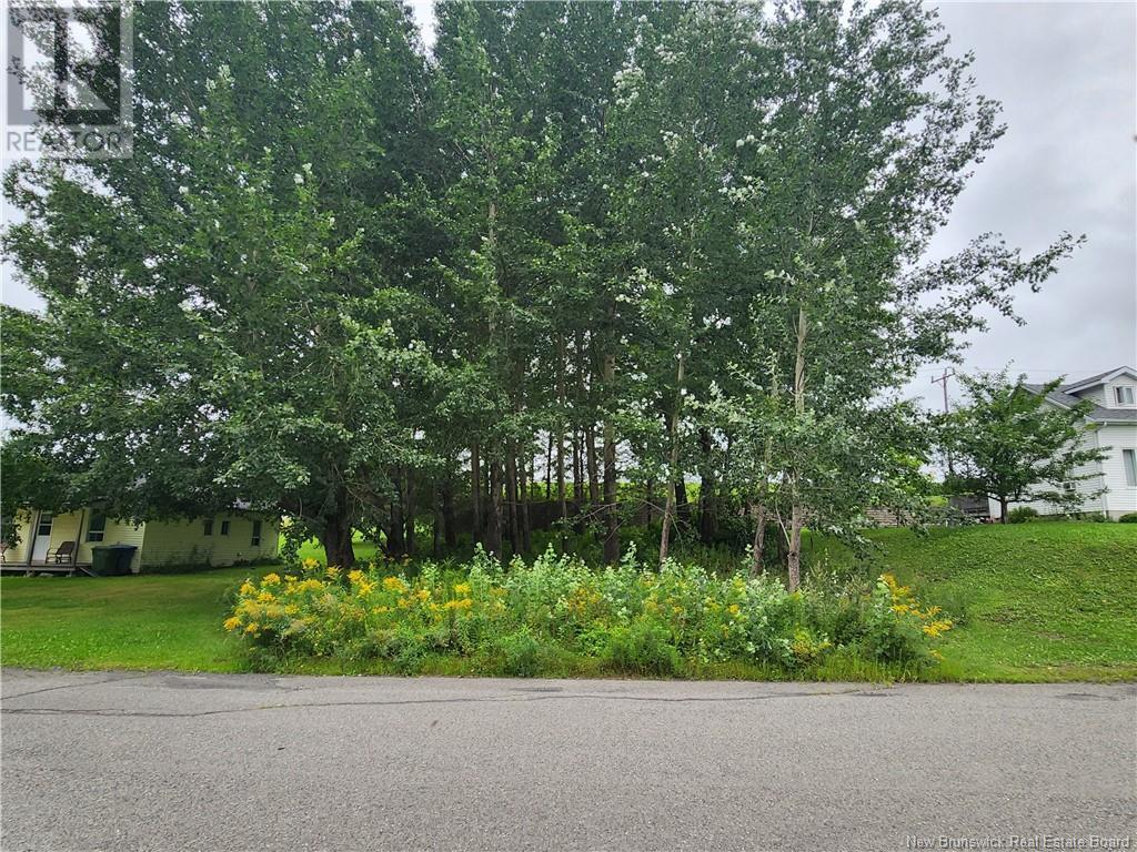 164 Corno Street, Saint-Basile, New Brunswick  E7C 2G8 - Photo 2 - NB095677