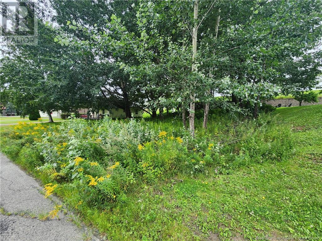 164 Corno Street, Saint-Basile, New Brunswick  E7C 2G8 - Photo 5 - NB095677