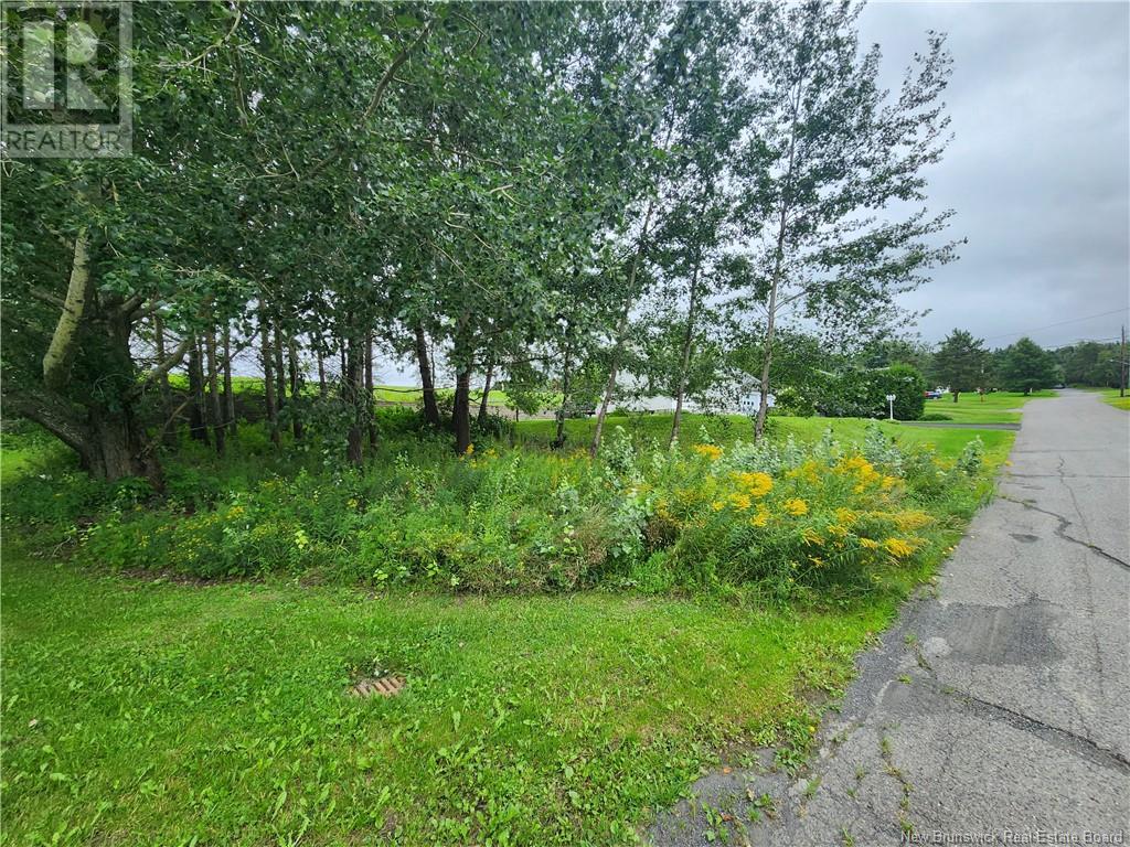 164 Corno Street, Saint-Basile, New Brunswick  E7C 2G8 - Photo 4 - NB095677