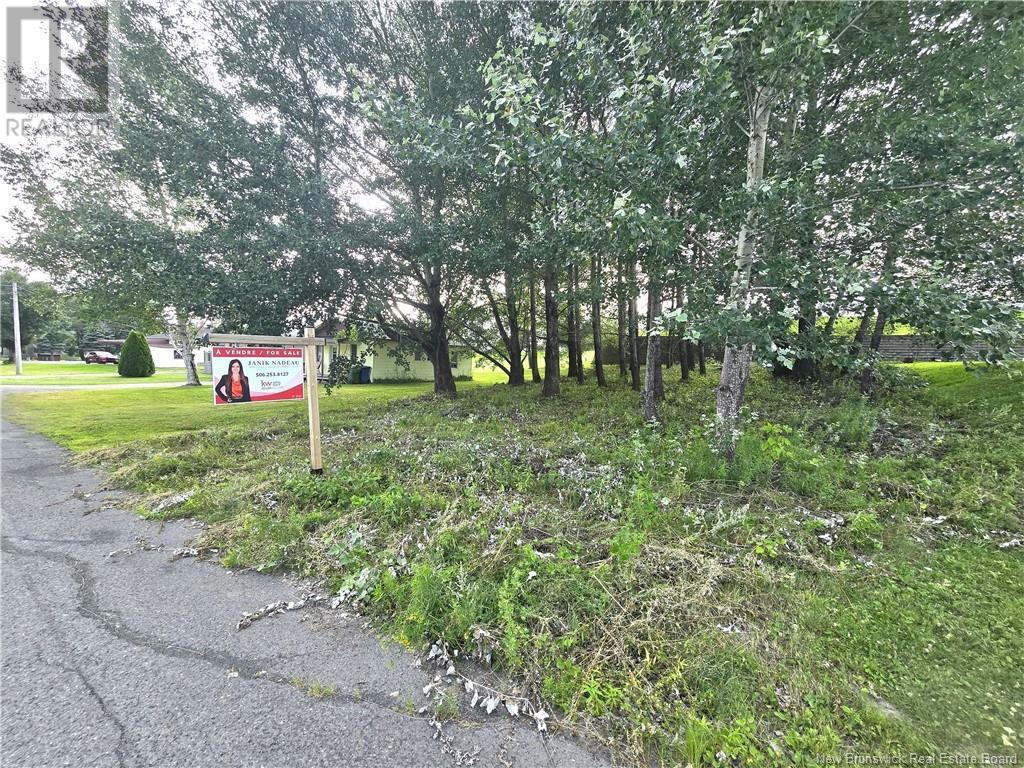 164 Corno Street, Saint-Basile, New Brunswick  E7C 2G8 - Photo 11 - NB095677