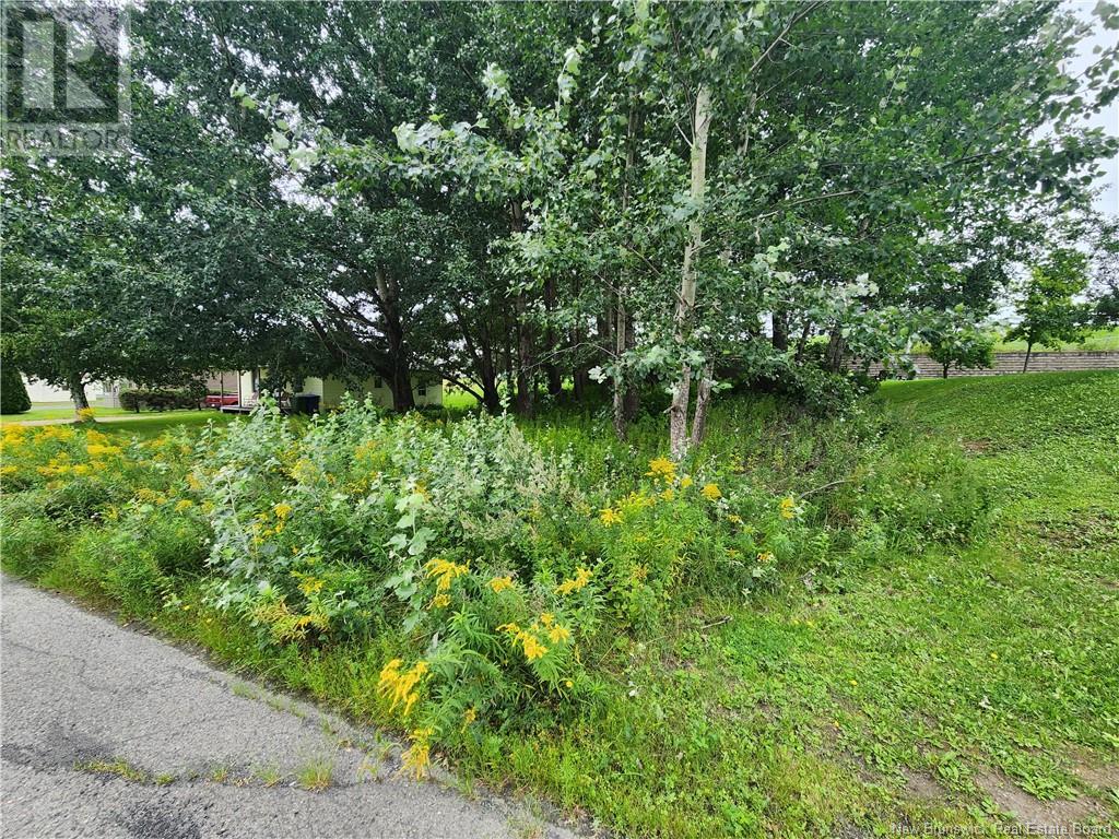 164 Corno Street, Saint-Basile, New Brunswick  E7C 2G8 - Photo 6 - NB095677