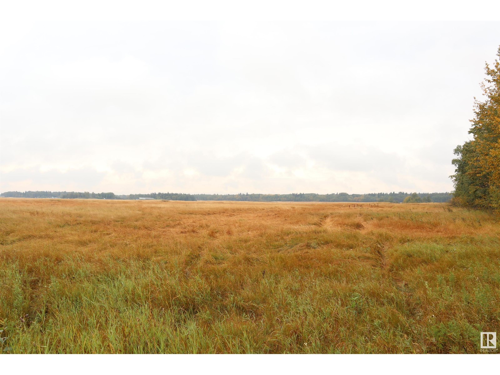 Se-36-60-23-W4, Rural Thorhild County, Alberta  T0A 3J0 - Photo 4 - E4406408