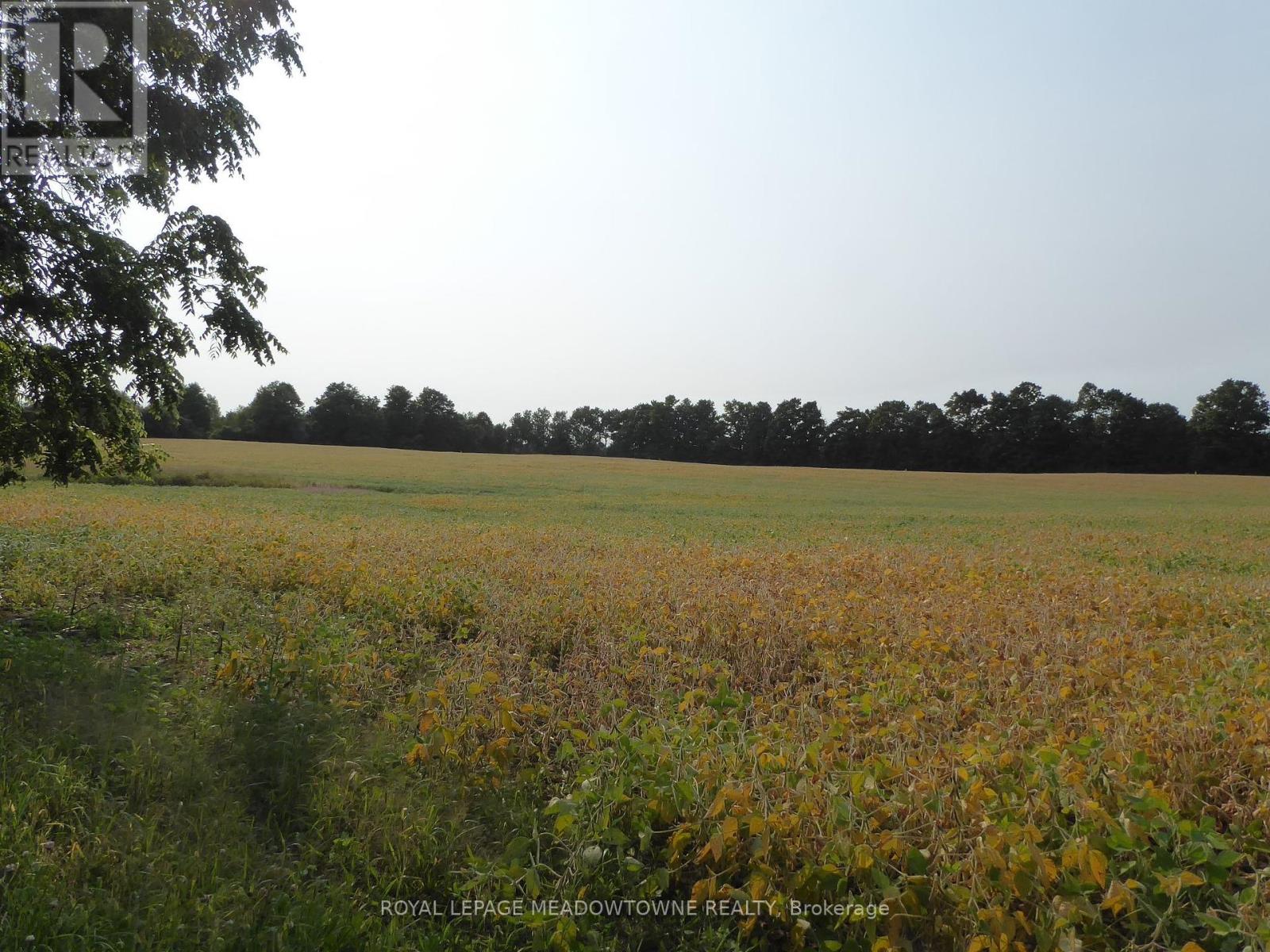 11080 First Line, Milton (Nassagaweya), Ontario  L0P 1J0 - Photo 10 - W9345234