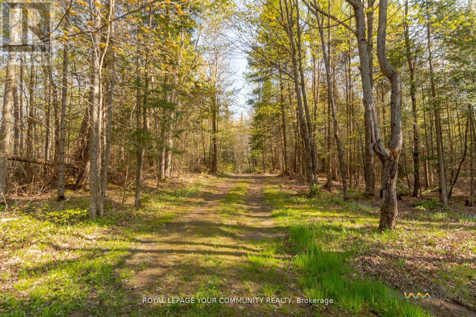 38 Highland Road, Burk's Falls, Ontario  P0A 1C0 - Photo 36 - X9348544