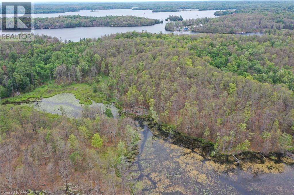 Pt Lt 7 Smiths Bay Lot, Rideau Lakes, Ontario  K0G 1E0 - Photo 12 - 40644184