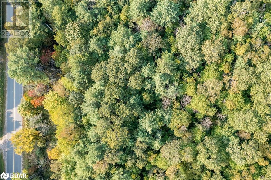 Pt Lt 3 Housey’s Rapids Road, Kawartha Lakes, Ontario  L0K 2B0 - Photo 3 - 40646726