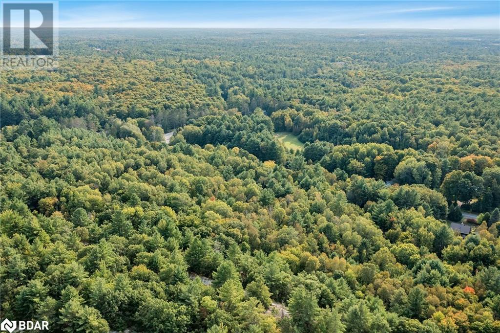 Pt Lt 3 Housey’s Rapids Road, Kawartha Lakes, Ontario  L0K 2B0 - Photo 5 - 40646726