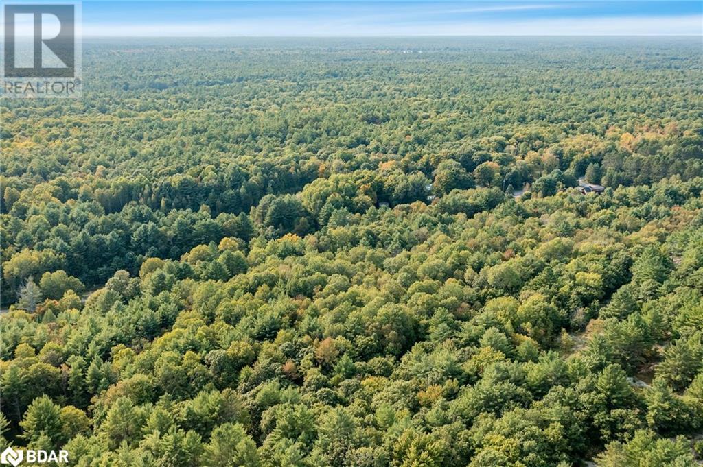 Pt Lt 3 Housey’s Rapids Road, Kawartha Lakes, Ontario  L0K 2B0 - Photo 6 - 40646726