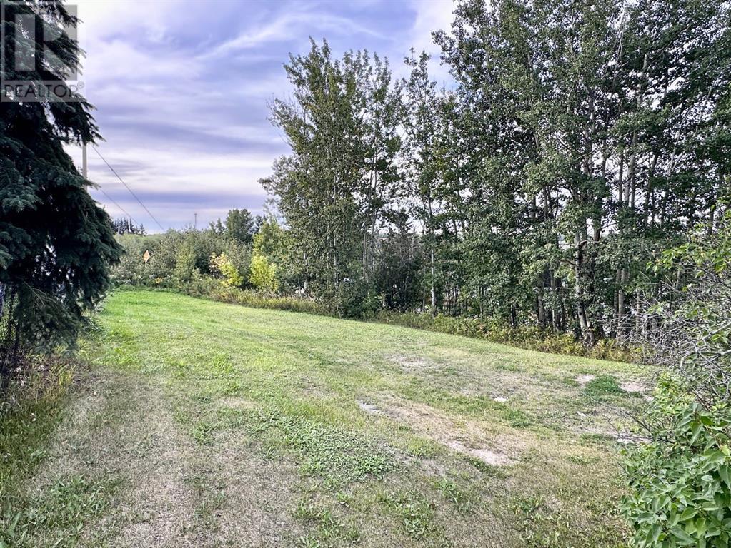 5128 50 Street, Sangudo, Alberta  T0E 2A0 - Photo 7 - A2165828