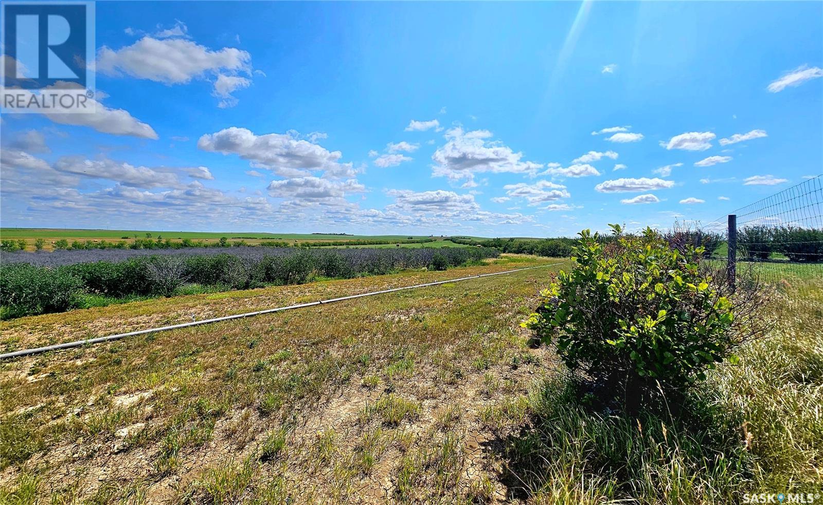 Shackleton Acreage, Miry Creek Rm No. 229, Saskatchewan  S0N 0A0 - Photo 5 - SK958132