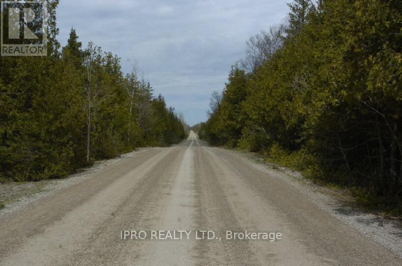 308 Ira Lake Road, Northern Bruce Peninsula, Ontario  N0H 1W0 - Photo 11 - X9350185