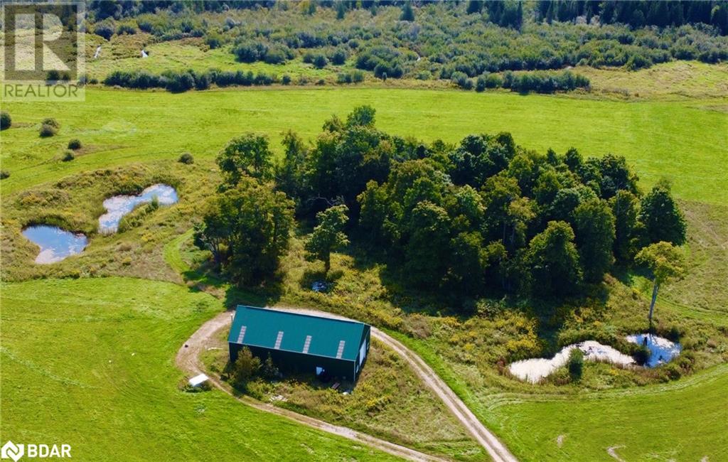 253 Craig Sideroad, Hillsdale, Ontario  L0L 1V0 - Photo 6 - 40645651