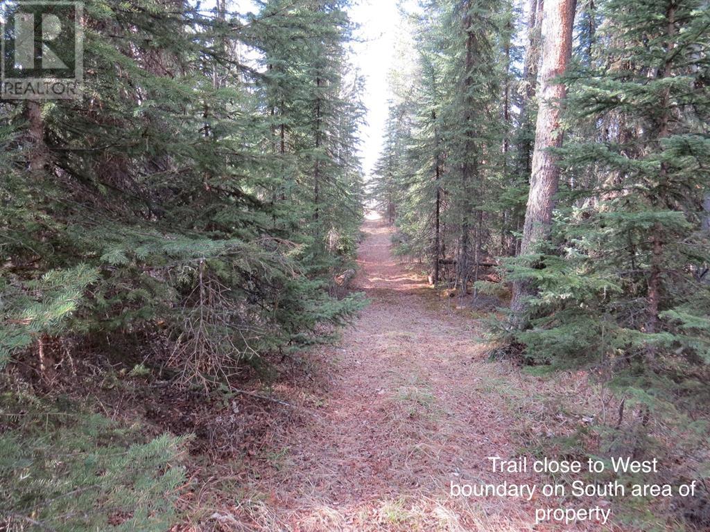 Pine Ridge Drive, Rural Clearwater County, Alberta  T4T 1A7 - Photo 2 - A2116843