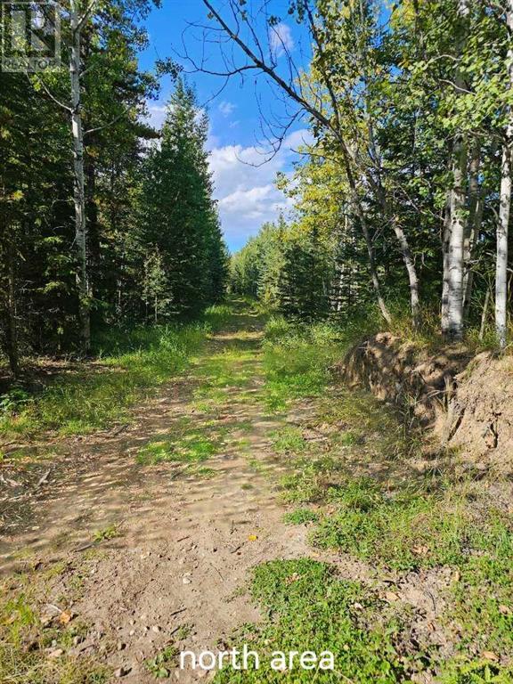 Pine Ridge Drive, Rural Clearwater County, Alberta  T4T 1A7 - Photo 10 - A2116843