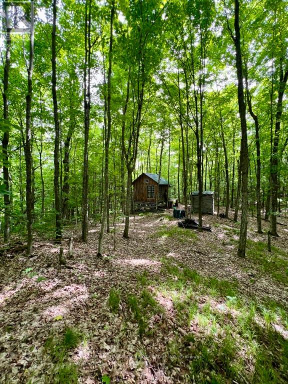 0 Wintergreen Road, North Frontenac, Ontario  K0H 2G0 - Photo 5 - X9351070