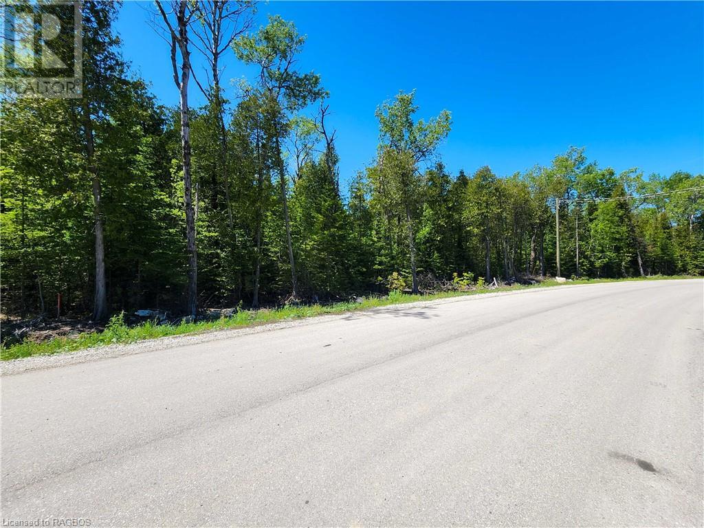 Lot 13 Trillium Crossing, Northern Bruce Peninsula, Ontario  N0H 1W0 - Photo 12 - 40646107