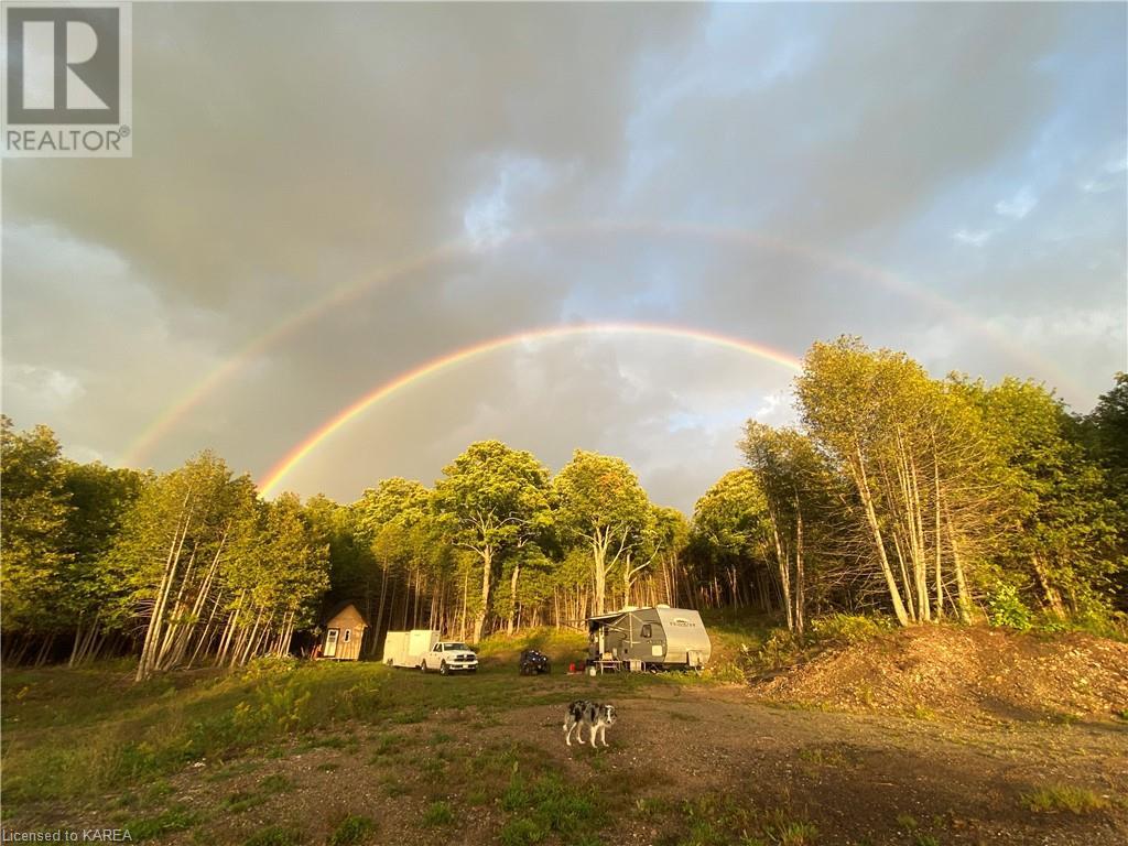 3499 Deloro Road, Eldorado, Ontario  K0K 1Y0 - Photo 18 - 40644925