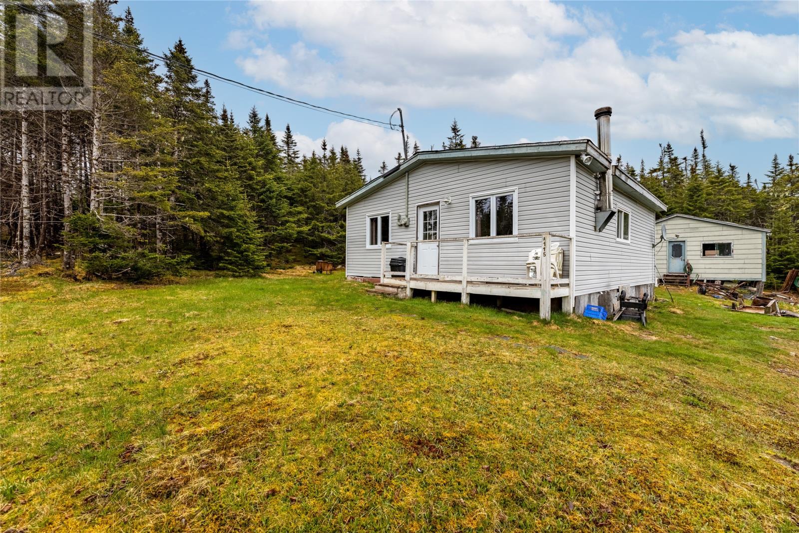 115 Deer Park Road, Salmonier, Newfoundland & Labrador  A0A 2R0 - Photo 4 - 1276012