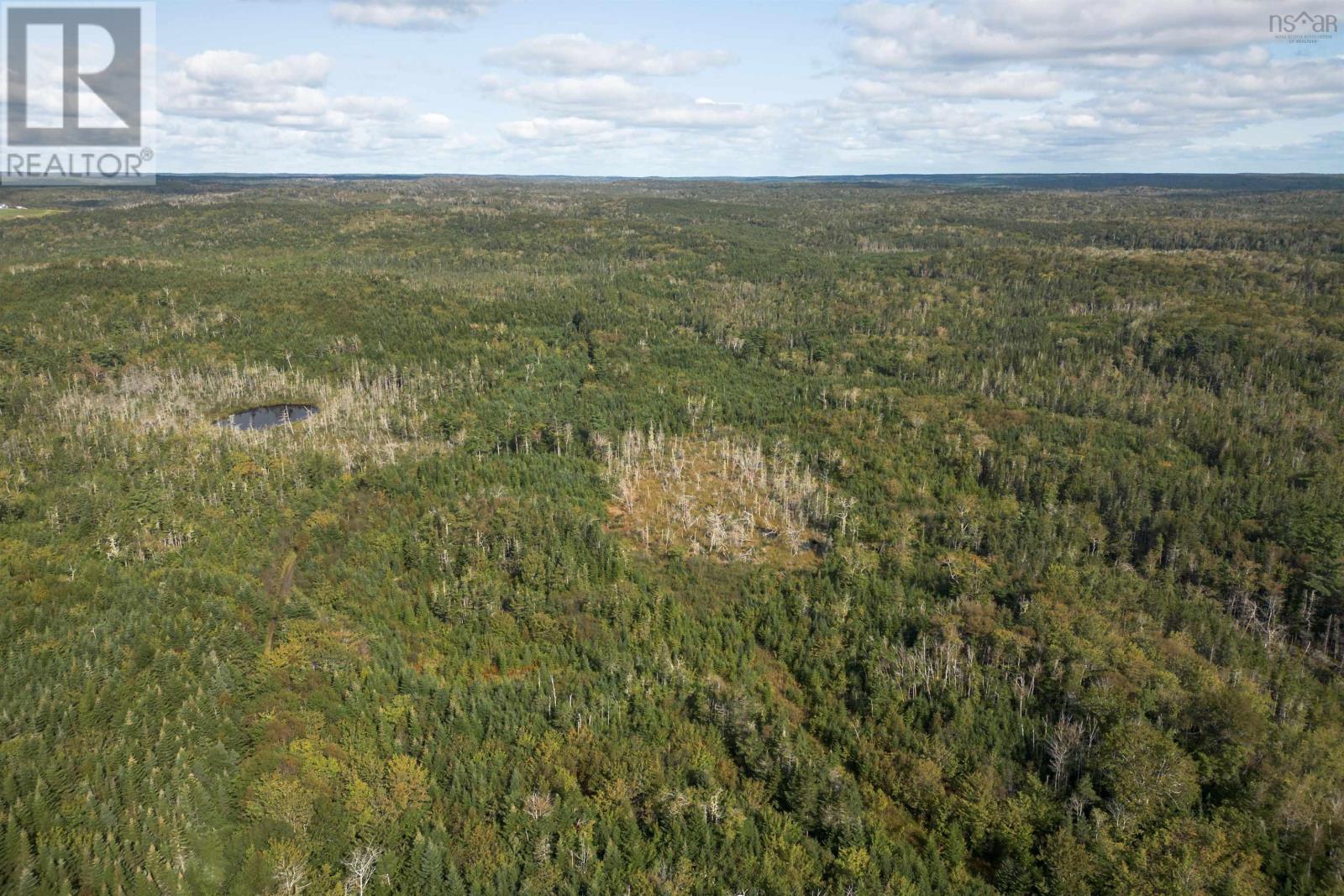 166 Acres 344 Highway, Manassette Lake, Nova Scotia  B0E 2G0 - Photo 7 - 202416778