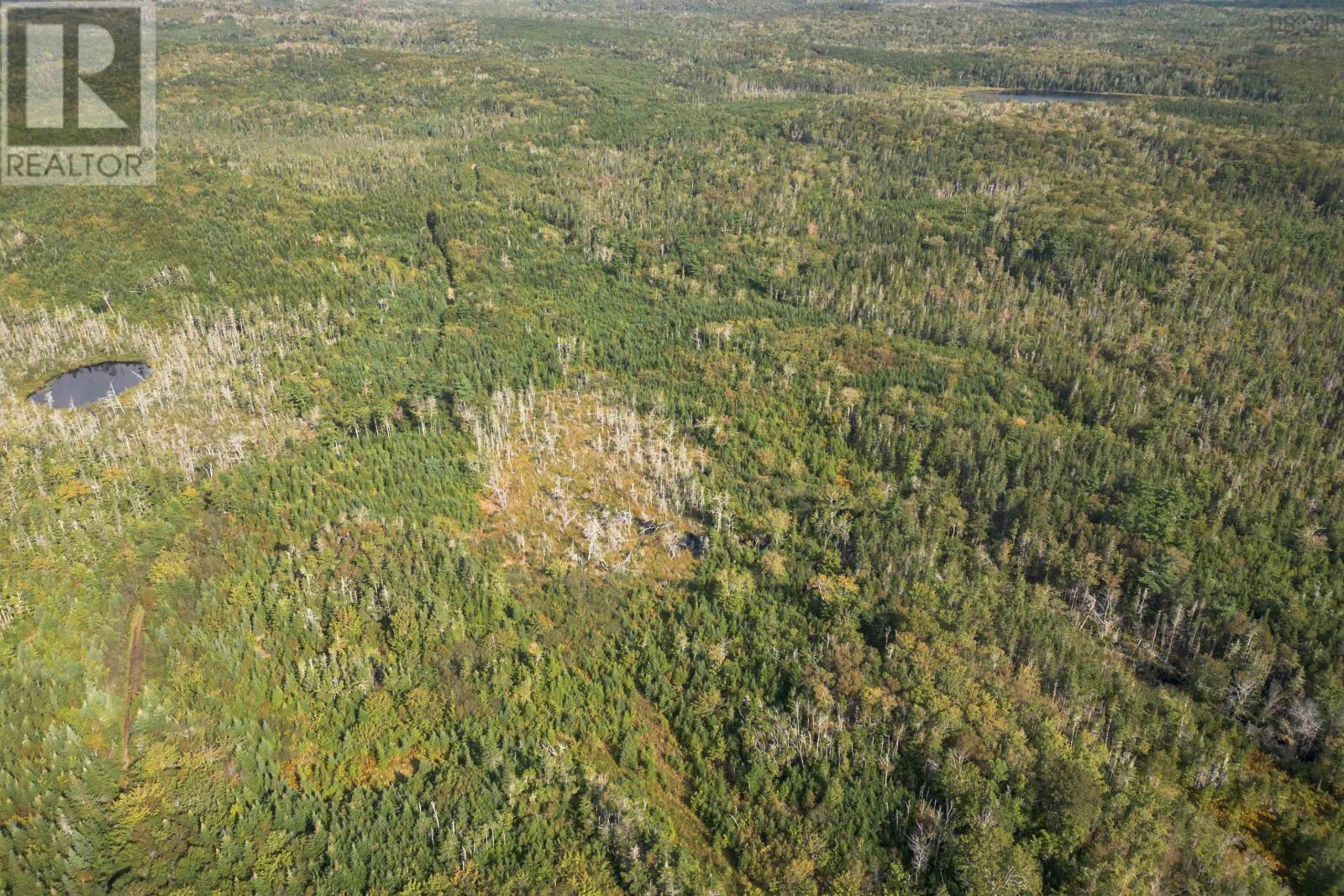 166 Acres 344 Highway, Manassette Lake, Nova Scotia  B0E 2G0 - Photo 9 - 202416778