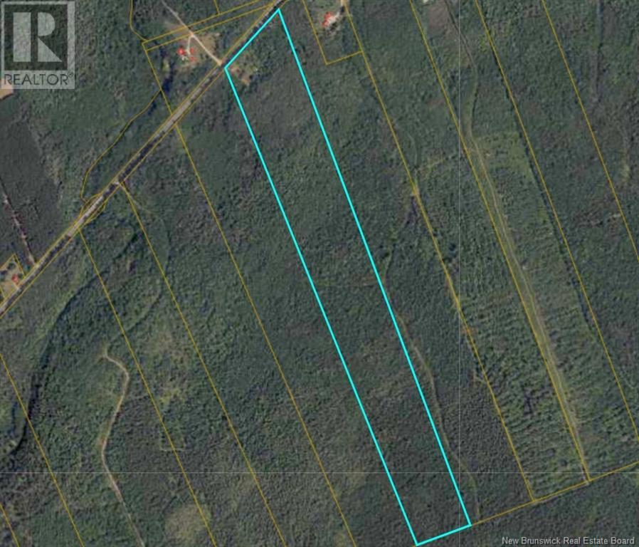 Lot Route 440, Rosaireville, New Brunswick  E4Y 2Y6 - Photo 1 - NB106064