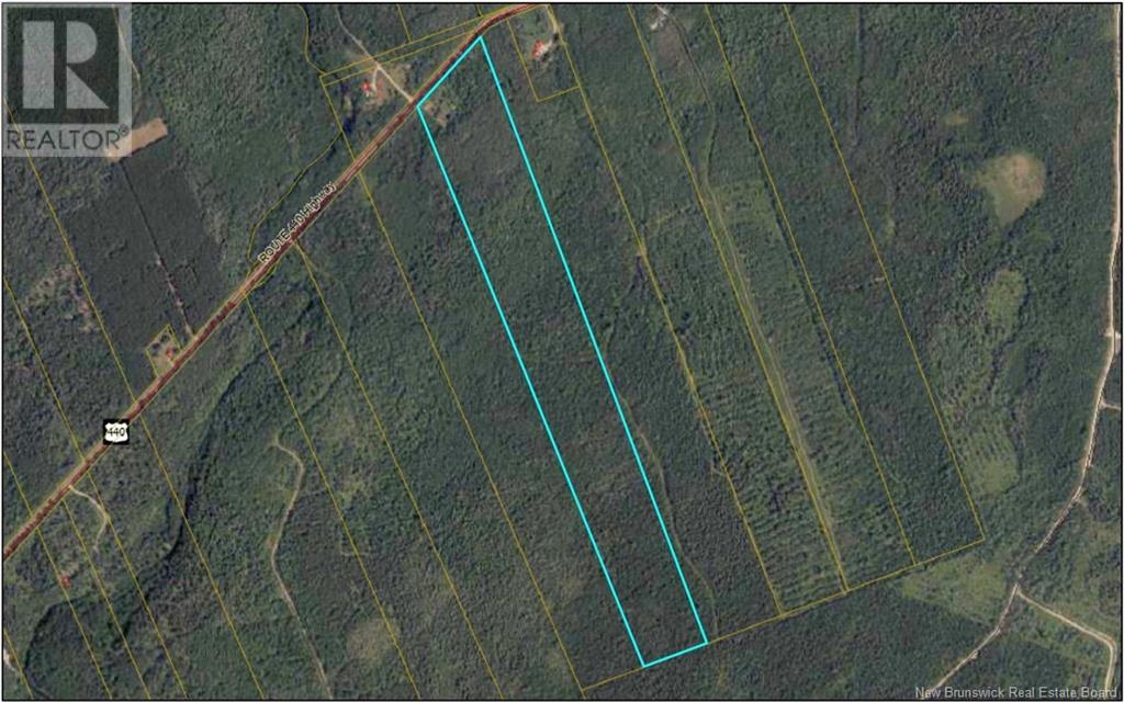 Lot Route 440, Rosaireville, New Brunswick  E4Y 2Y6 - Photo 2 - NB106064
