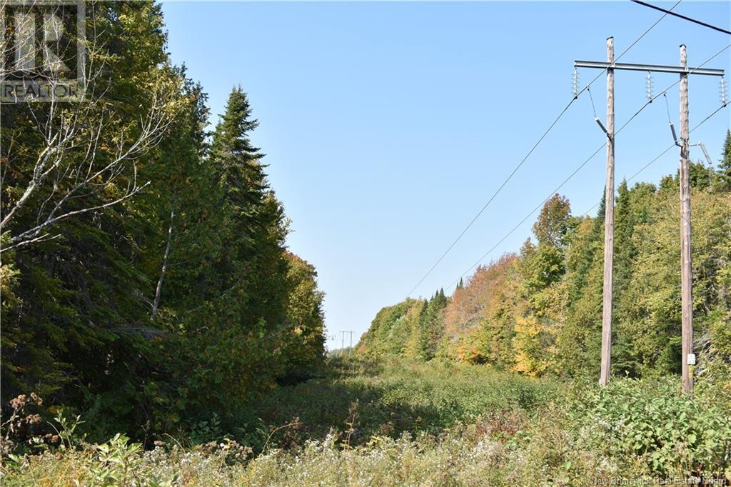 Lot Summerfield Road, Summerfield, New Brunswick  E7K 2K2 - Photo 16 - NB106076