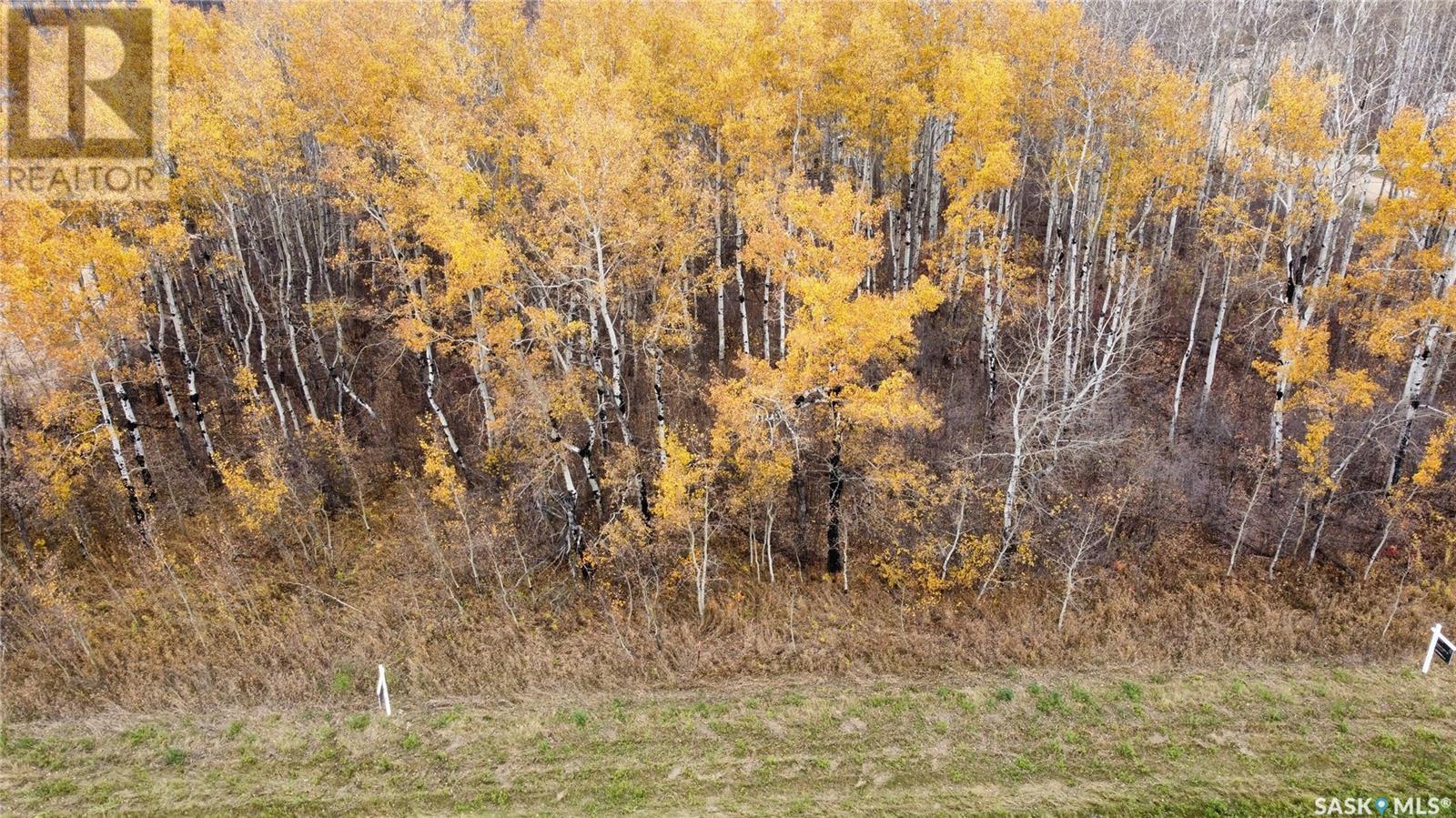 25 Black BAY, barrier valley rm no. 397, Saskatchewan