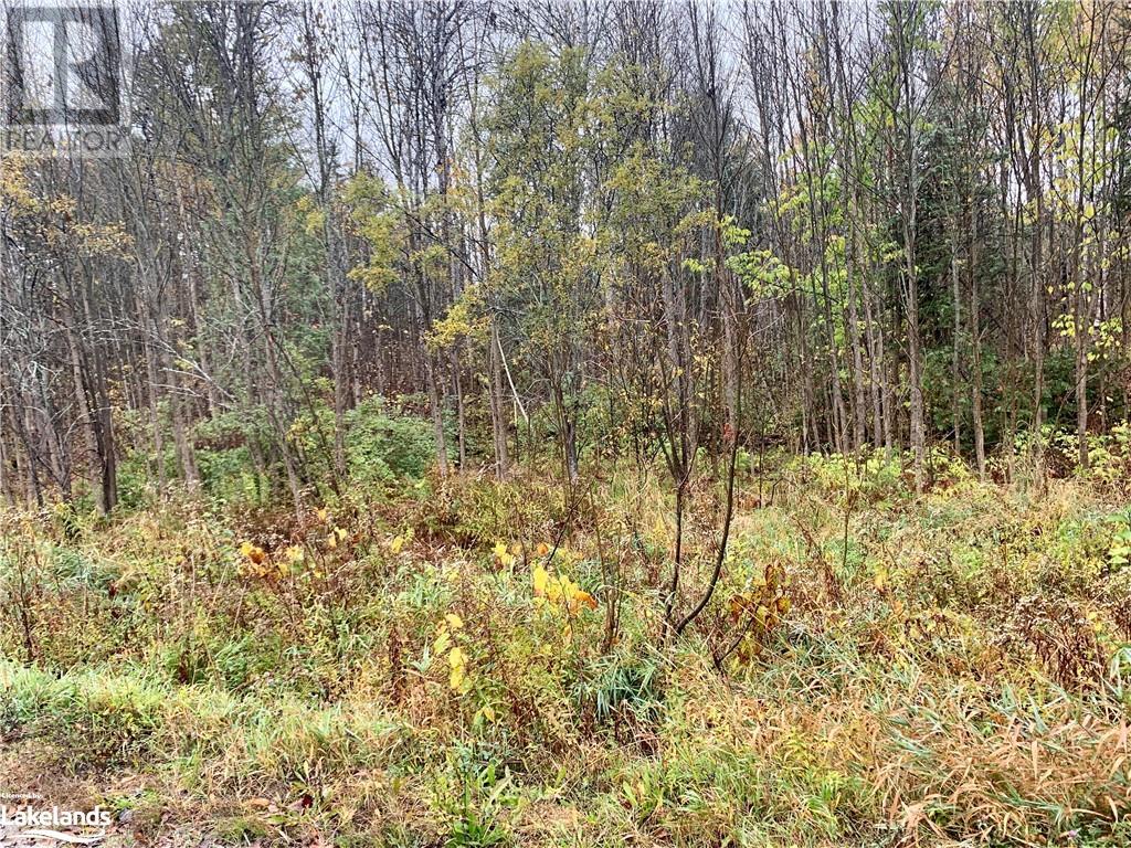 Lot 1 Moore Drive, Whitestone, Ontario  P0A 1G0 - Photo 10 - X10895391