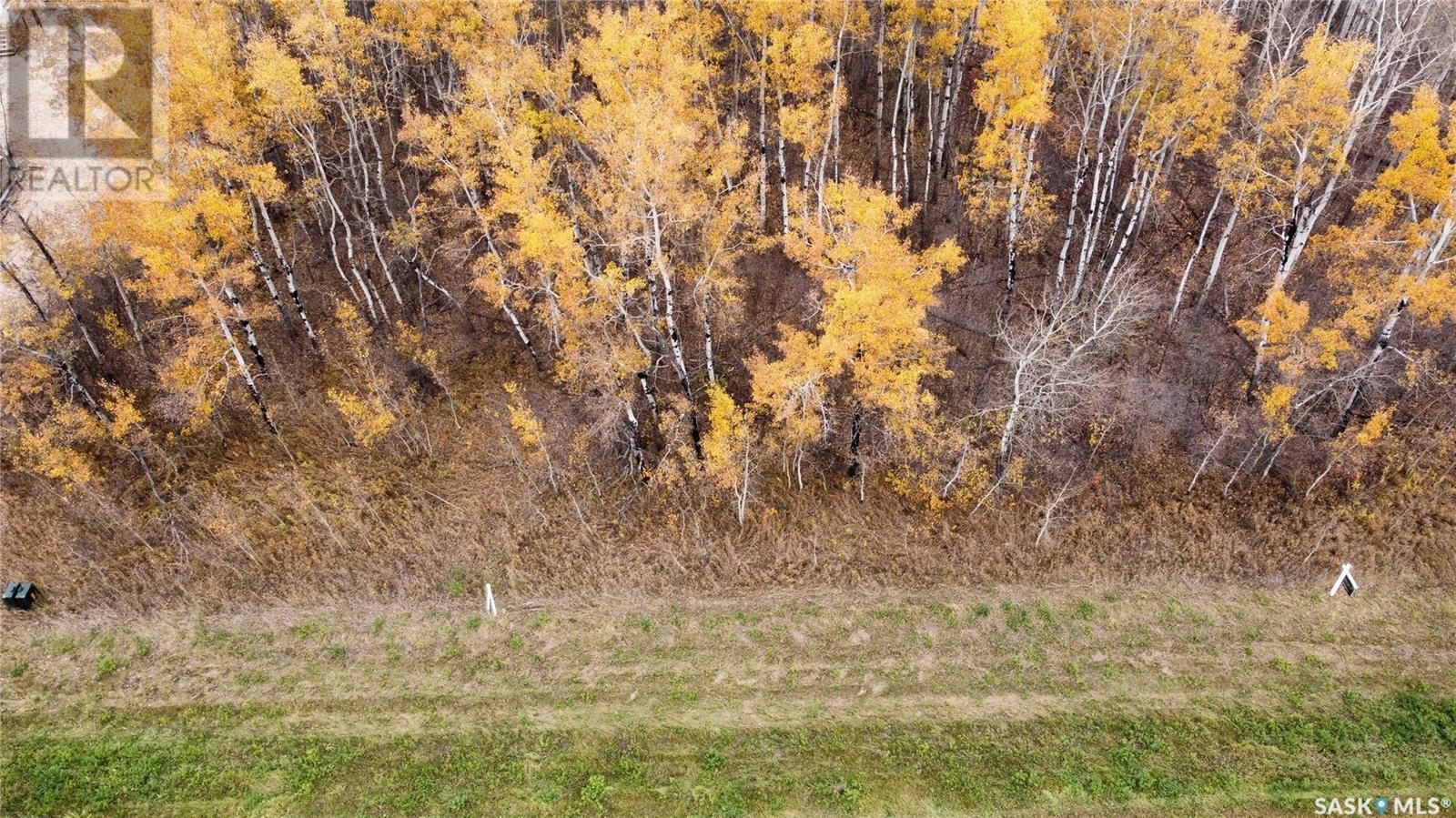 12 Lakeview Road, Barrier Valley Rm No. 397, Saskatchewan  S0E 0B0 - Photo 1 - SK983775