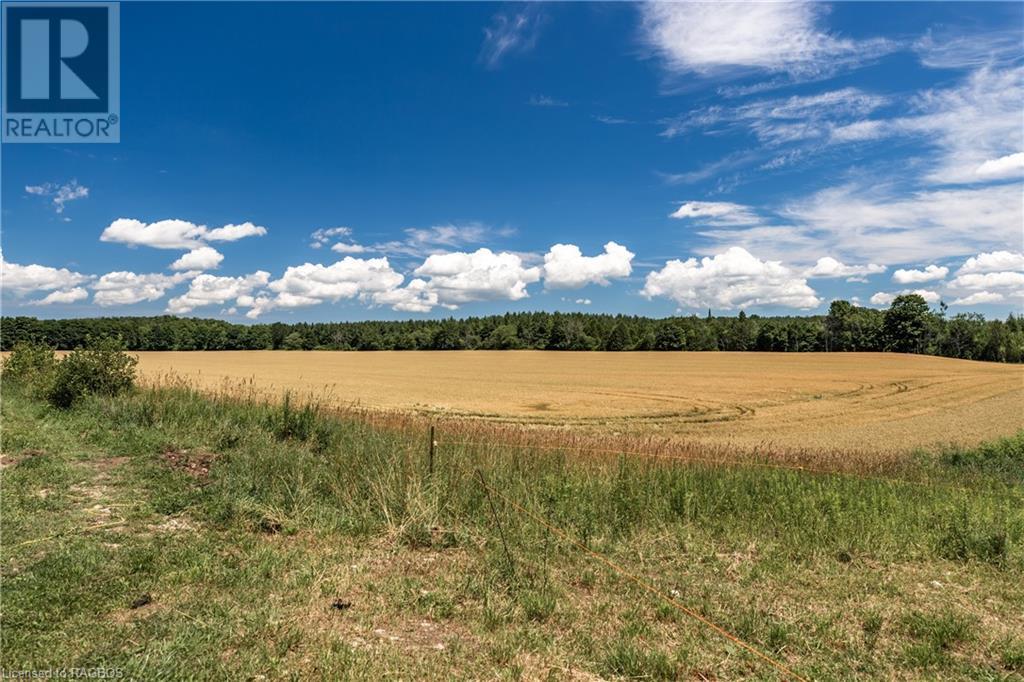 574461 Sideroad 40 Rr1, West Grey, Ontario  N0C 1H0 - Photo 49 - 40610576