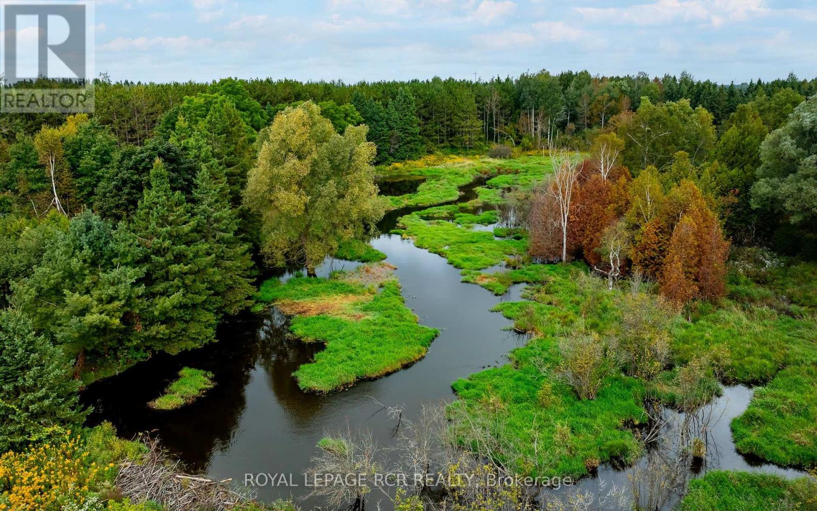 335093 7th Line, Amaranth, Ontario  L9W 0L2 - Photo 19 - X9347807