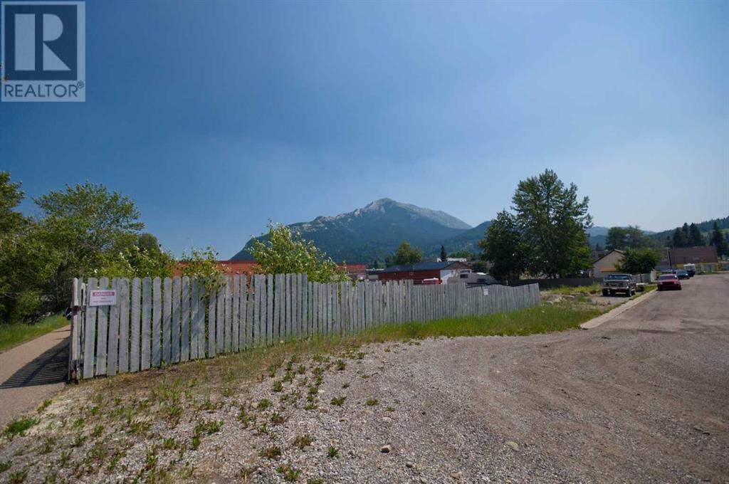 2131 128th Street, Blairmore, Alberta  T0K 0E0 - Photo 5 - A2166109