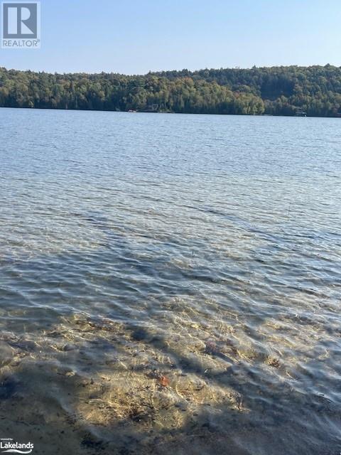 1448-1 West Oxbow Lake Road, Lake Of Bays (Finlayson), Ontario  P1H 2J6 - Photo 6 - X10895448