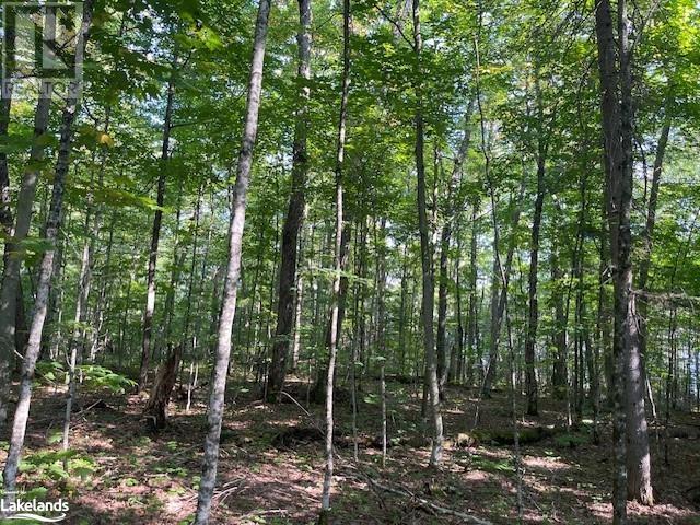 1448-1 West Oxbow Lake Road, Lake Of Bays (Finlayson), Ontario  P1H 2J6 - Photo 8 - X10895448