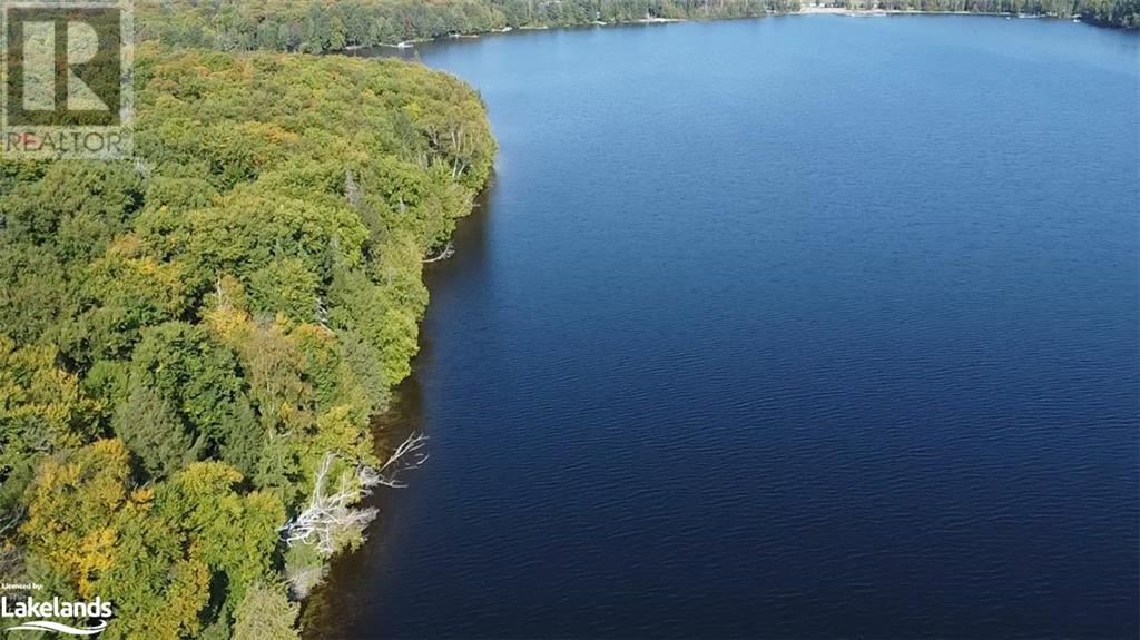 1448-1 West Oxbow Lake Road, Lake Of Bays (Finlayson), Ontario  P1H 2J6 - Photo 11 - X10895448