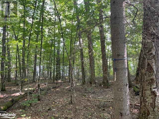 1448-1 West Oxbow Lake Road, Lake Of Bays (Finlayson), Ontario  P1H 2J6 - Photo 7 - X10895448