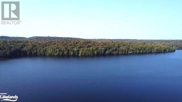 1448-1 West Oxbow Lake Road, Lake Of Bays (Finlayson), Ontario  P1H 2J6 - Photo 3 - X10895448