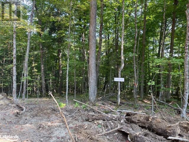 1448-1 West Oxbow Lake Road, Lake Of Bays (Finlayson), Ontario  P1H 2J6 - Photo 5 - X10895448