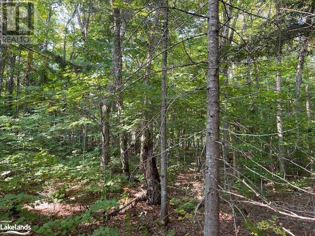 1448-2 West Oxbow Lake Road, Lake Of Bays (Finlayson), Ontario  P1H 2J6 - Photo 12 - X10895468