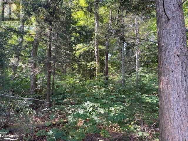 1448-2 West Oxbow Lake Road, Lake Of Bays (Finlayson), Ontario  P1H 2J6 - Photo 10 - X10895468