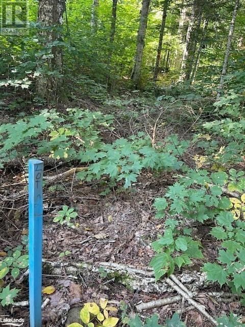 1448-2 West Oxbow Lake Road, Lake Of Bays (Finlayson), Ontario  P1H 2J6 - Photo 8 - X10895468