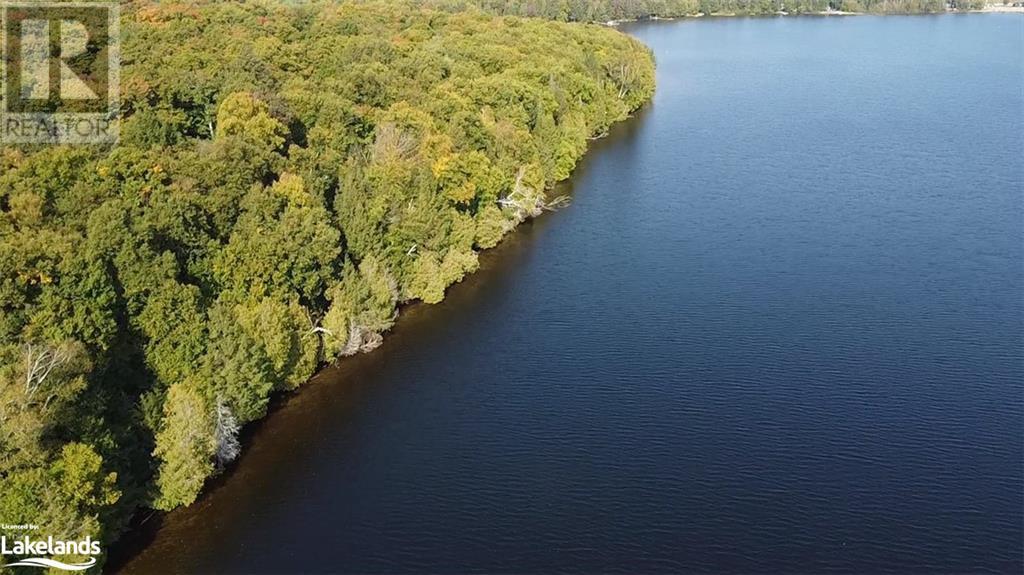 1448-2 West Oxbow Lake Road, Lake Of Bays (Finlayson), Ontario  P1H 2J6 - Photo 13 - X10895468