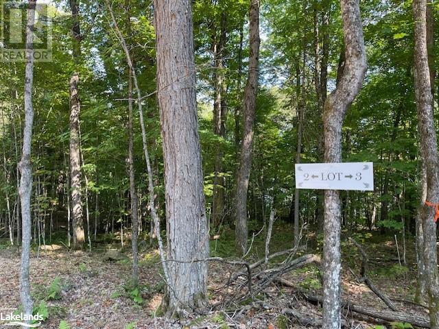 1448-2 West Oxbow Lake Road, Lake Of Bays (Finlayson), Ontario  P1H 2J6 - Photo 7 - X10895468