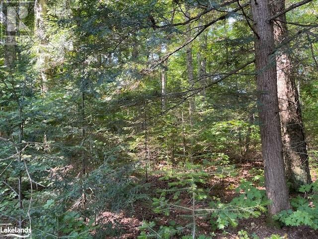 1448-2 West Oxbow Lake Road, Lake Of Bays (Finlayson), Ontario  P1H 2J6 - Photo 11 - X10895468