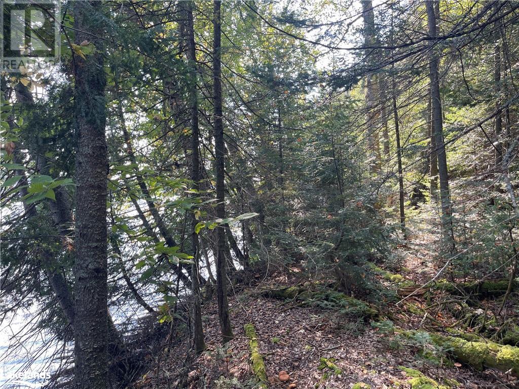 1448-2 West Oxbow Lake Road, Lake Of Bays (Finlayson), Ontario  P1H 2J6 - Photo 17 - X10895468