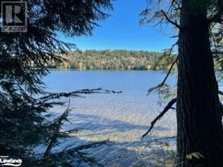 1448-3 West Oxbow Lake Road, Lake Of Bays (Finlayson), Ontario  P1H 2J6 - Photo 3 - X10895525