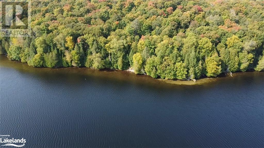 1448-3 West Oxbow Lake Road, Lake Of Bays (Finlayson), Ontario  P1H 2J6 - Photo 9 - X10895525