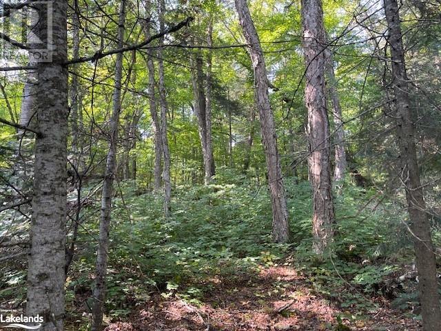 1448-3 West Oxbow Lake Road, Lake Of Bays (Finlayson), Ontario  P1H 2J6 - Photo 8 - X10895525