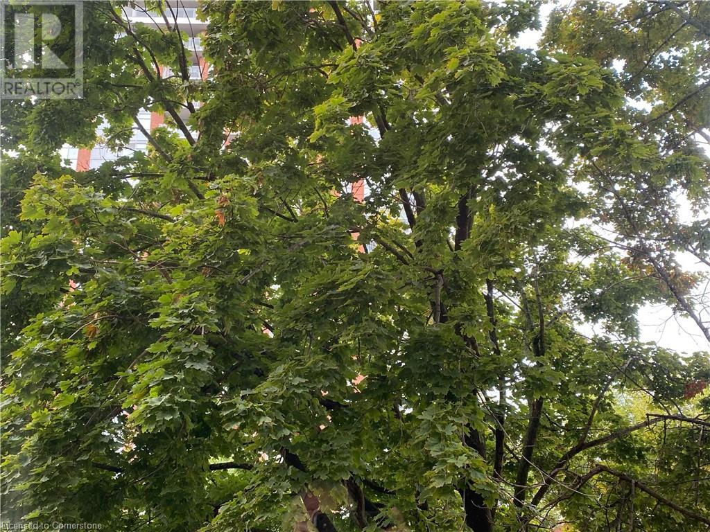 1270 Maple Crossing Boulevard Unit# 204, Burlington, Ontario L7S 2J3 - Photo 16 - XH4205407